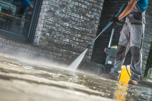 Best Animal Enclosure Cleaning  in Jacksonville, TX
