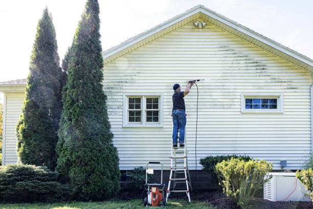 Best Sidewalk and Walkway Cleaning  in Jacksonville, TX